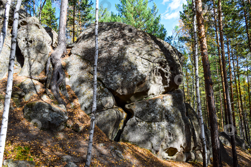 Скачать Древние горы Хакасии. Каменный парк. (Ширинские Столбы) фотосток Ozero