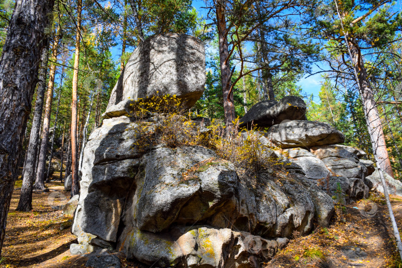 Скачать Древние горы Хакасии. Каменный парк. (Ширинские Столбы) фотосток Ozero