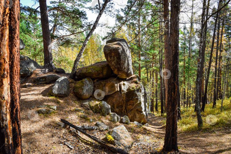 Скачать Древние горы Хакасии. Каменный парк. (Ширинские Столбы) фотосток Ozero