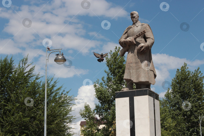 Скачать Памятник солдата и голуби. фотосток Ozero