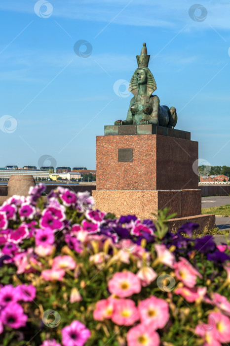 Скачать Памятник жертвам политических репрессий в Санкт-Петербурге. Памятник, посвященный жертвам государственного террора в СССР. фотосток Ozero