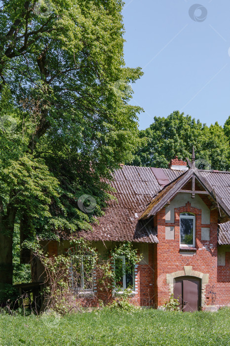 Скачать Дом в лесу. Дом из красного кирпича в лесу. Дом лесника-охотника. фотосток Ozero