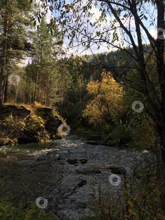 Скачать Горная река. Ранняя осень. Закат. фотосток Ozero