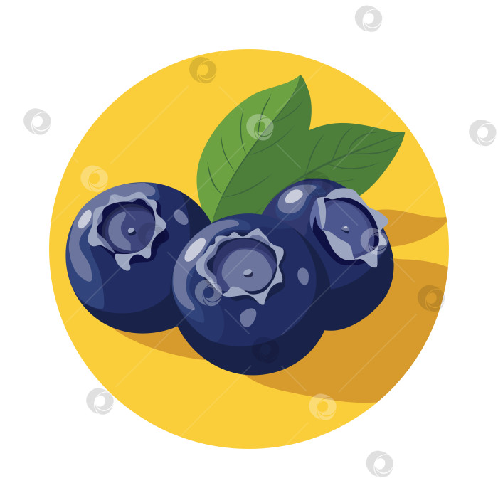 Скачать Векторная иллюстрация Blueberry выполнена в плоском дизайнерском стиле с простыми формами и четкими линиями фотосток Ozero