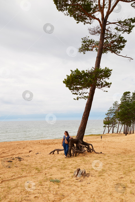 Скачать Женщина стоит у огромной сосны с корнями, торчащими из песка. фотосток Ozero