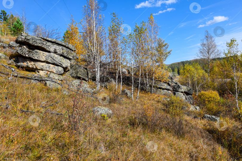 Скачать Древние горы Хакасии. Каменный парк. (Ширинские Столбы) фотосток Ozero