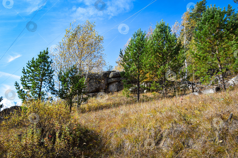 Скачать Древние горы Хакасии. Каменный парк. (Ширинские Столбы) фотосток Ozero