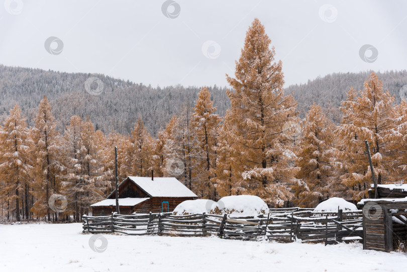 Скачать Домик в лесу. фотосток Ozero