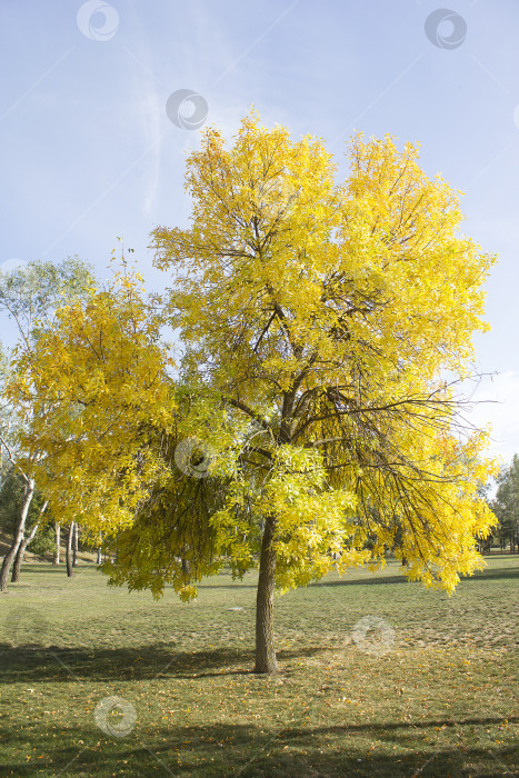 Скачать Природа в осенний сезон фотосток Ozero