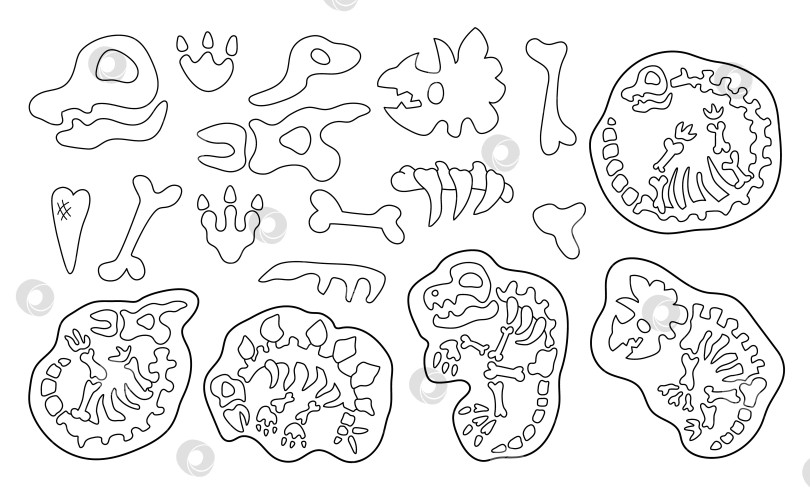 Скачать Набор векторных черно-белых костей динозавров, скелетов, черепов. Коллекция иконок ископаемых доисторических животных. Иллюстрация линии захоронений динозавров и гробниц. Раскраска для археологов и палеонтологов фотосток Ozero