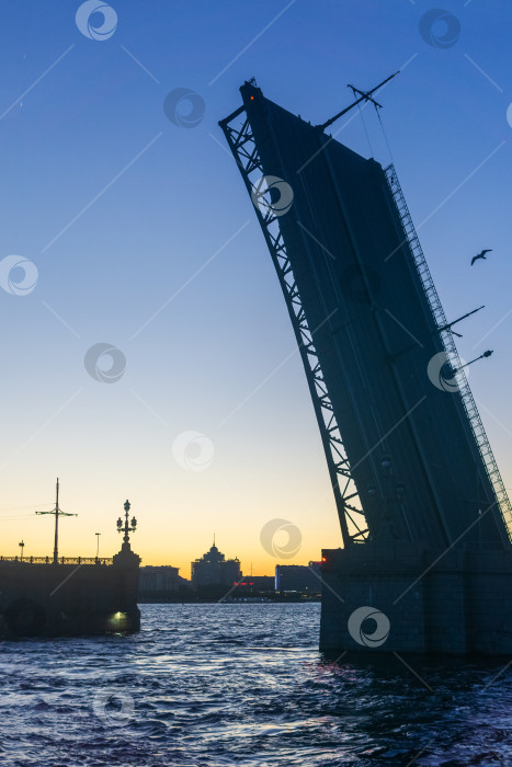 Скачать поднятый Литейный мост в Санкт-Петербурге белой ночью фотосток Ozero