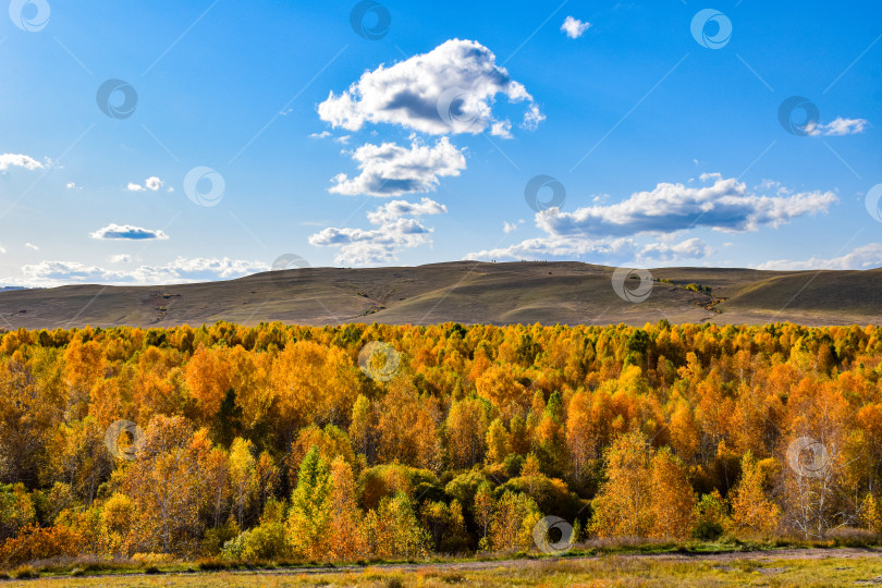 Скачать Хакасия, Сундуки, осень фотосток Ozero