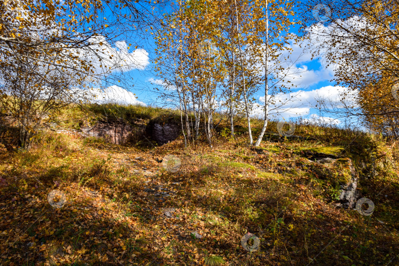 Скачать Хакасия, Сундуки, осень фотосток Ozero