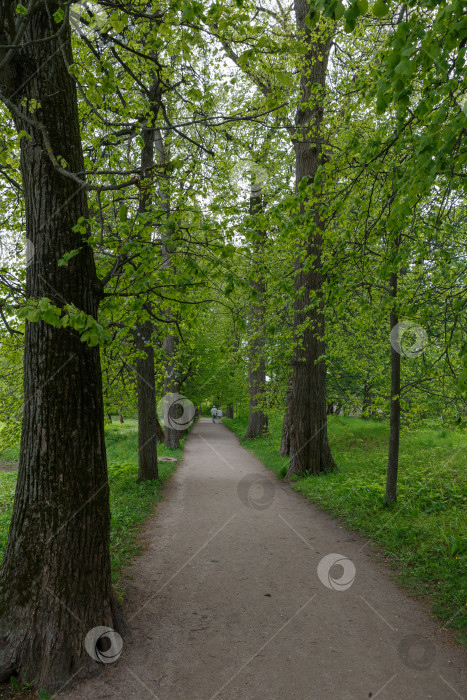 Скачать Ясная Поляна фотосток Ozero