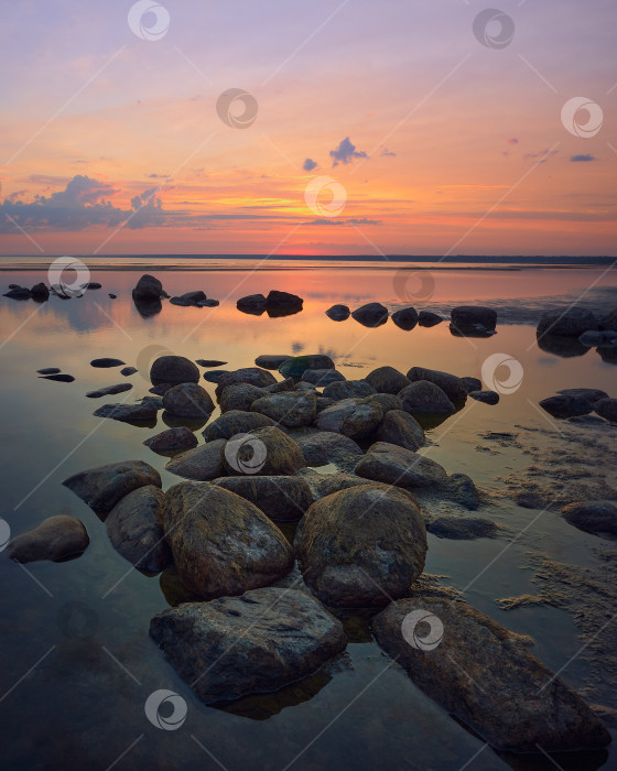 Скачать Летний вечер на берегу залива. фотосток Ozero