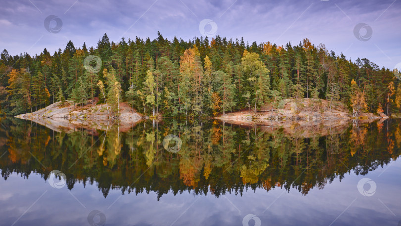 Скачать Идеальное отражение осеннего леса. фотосток Ozero