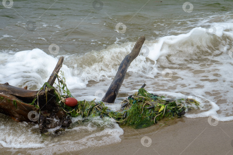 Скачать Побережье. Мусор на берегу моря. Коряга на песке. Тина на морском песке. фотосток Ozero