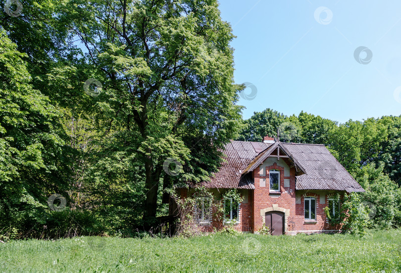 Скачать Дом в лесу. Одинокое здание в лесу. Дом из красного кирпича в лесу. фотосток Ozero