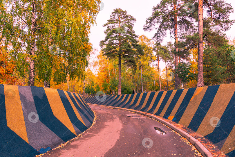 Скачать Осенняя дорожка фотосток Ozero