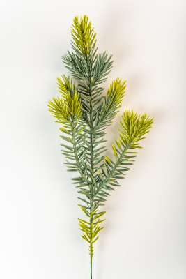 [object Object] undefined