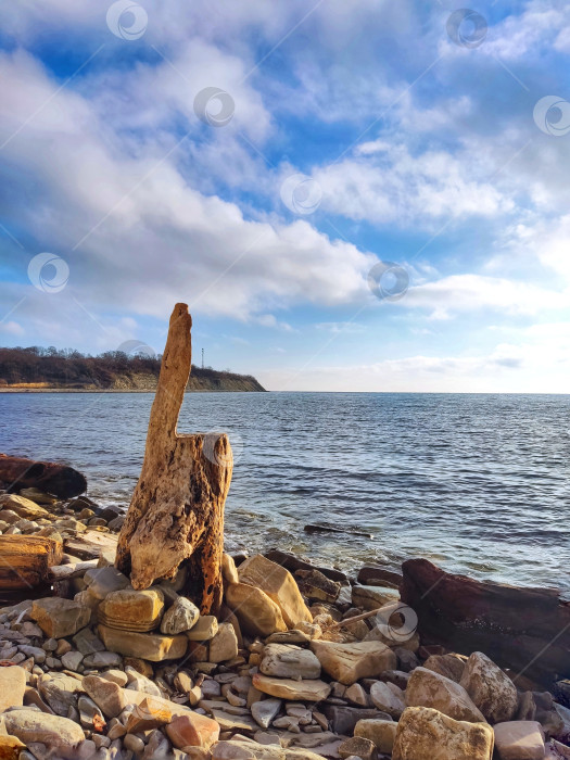 Скачать Кресло для размышлений на берегу моря фотосток Ozero