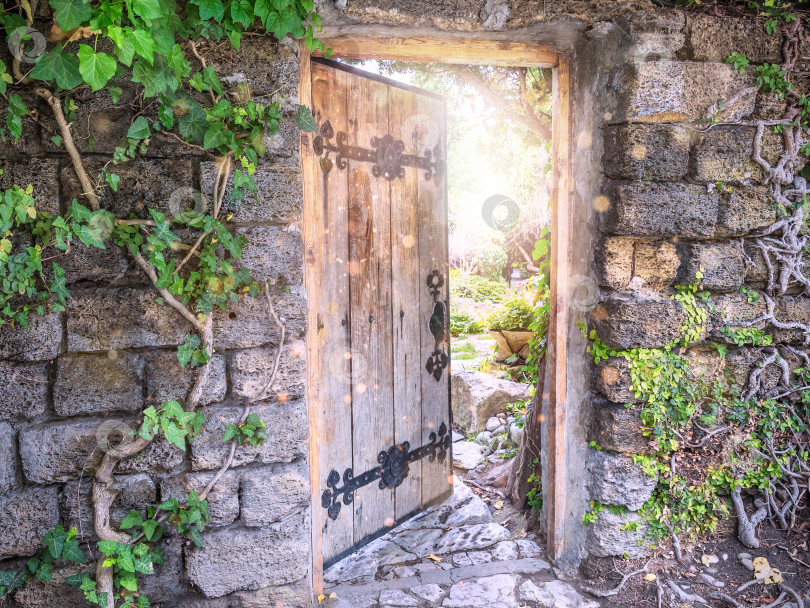 Скачать Таинственная деревянная открытая дверь, ведущая в сад, как вход в сказочную страну. Концепция новой жизни, надежды, счастливого сказочного приключения фотосток Ozero