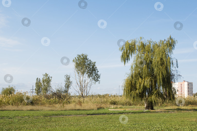 Скачать Экологический город фотосток Ozero