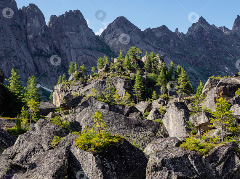 Скачать Огромные гранитные валуны. Яркий фон из дикой природы, леса. фотосток Ozero