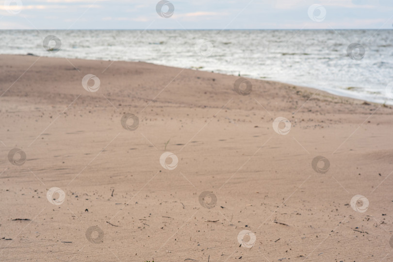 Скачать размытый природный фон, пейзаж, пустыня, дикое море, песчаный пляж фотосток Ozero