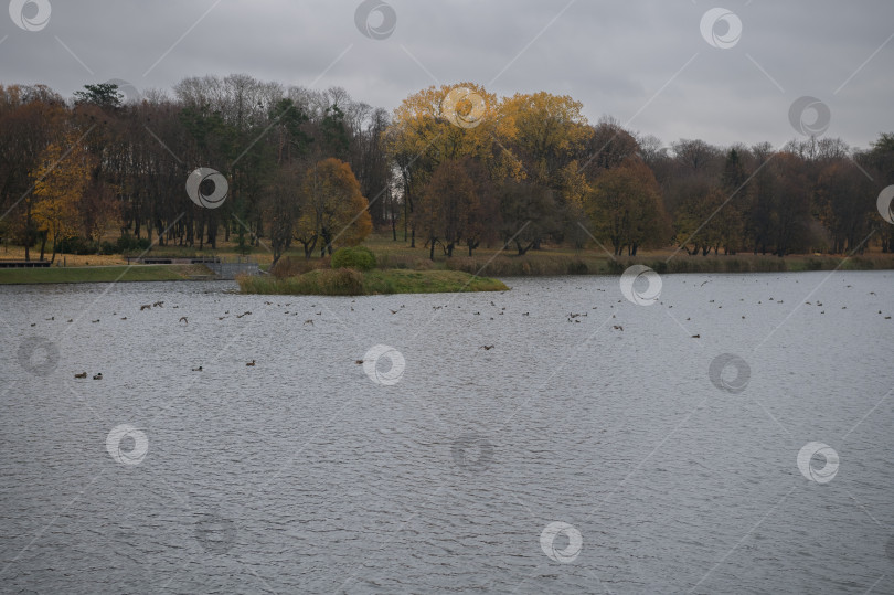 Скачать Вид на берег реки фотосток Ozero