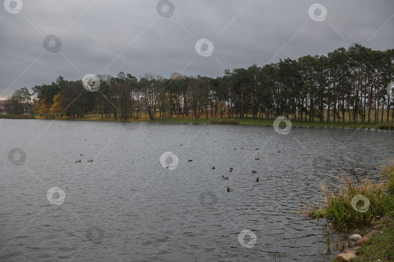 Скачать Вид на берег реки фотосток Ozero