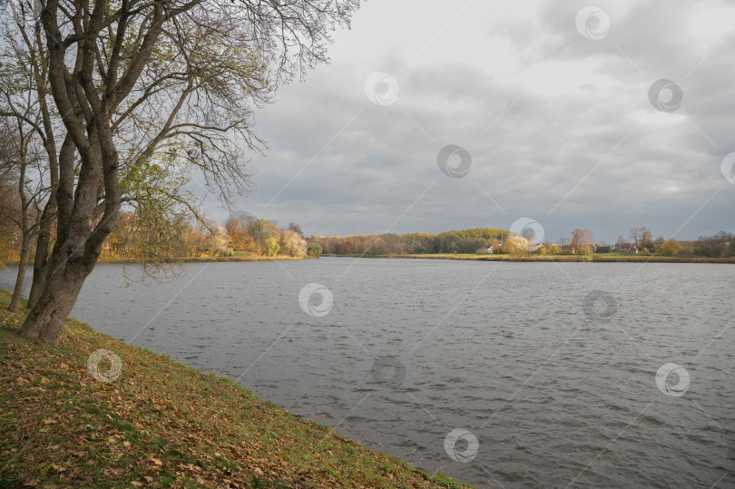 Скачать Вид на берег реки фотосток Ozero