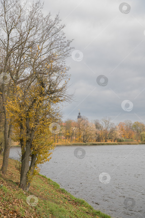 Скачать Вид на берег реки фотосток Ozero