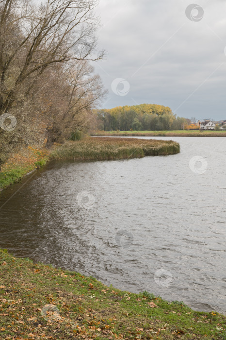 Скачать Вид на берег реки фотосток Ozero