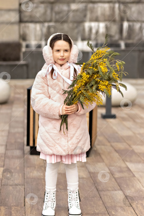 Скачать Портрет маленькой девочки в теплом розовом пальто и меховых наушниках с букетом мимозы в руках. Весна, Международный женский день 8 марта. фотосток Ozero
