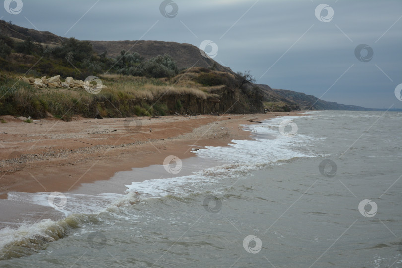 Скачать Берег Азовского Моря фотосток Ozero