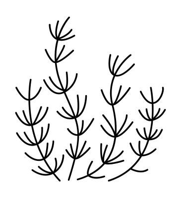 [object Object] undefined