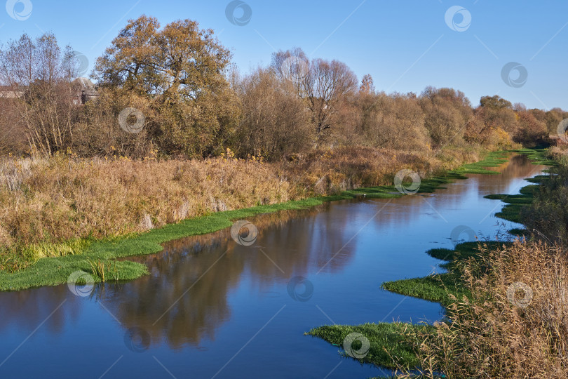 Скачать Прогуляйтесь по берегу реки Снежет. фотосток Ozero