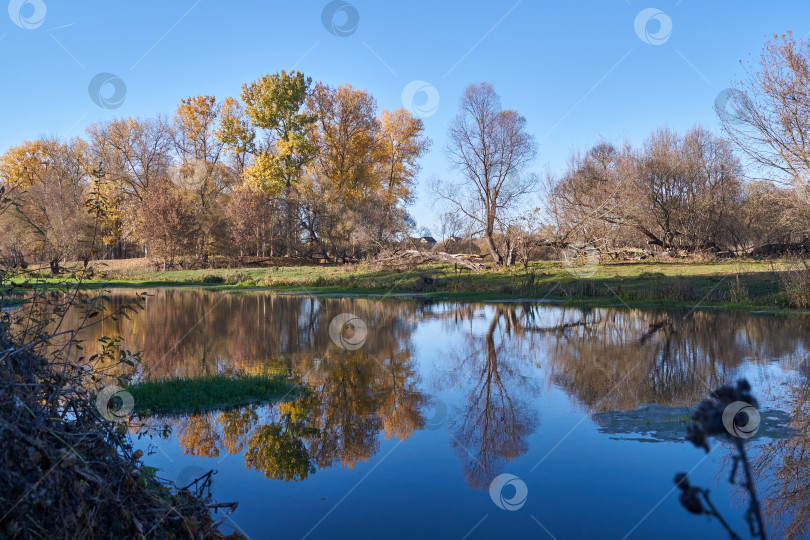 Скачать Прогуляйтесь по берегу реки Снежет. фотосток Ozero