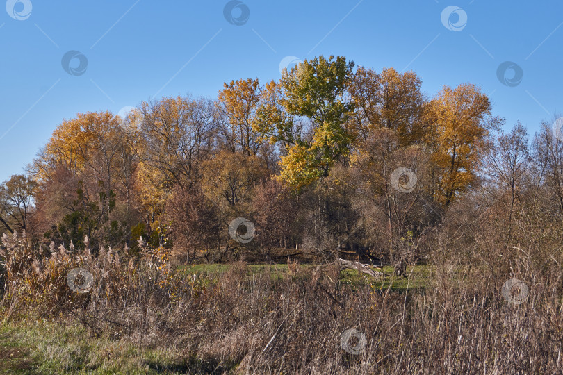 Скачать Прогуляйтесь по берегу реки Снежет. фотосток Ozero