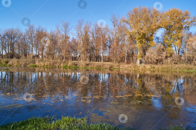 Скачать Прогуляйтесь по берегу реки Снежет. фотосток Ozero