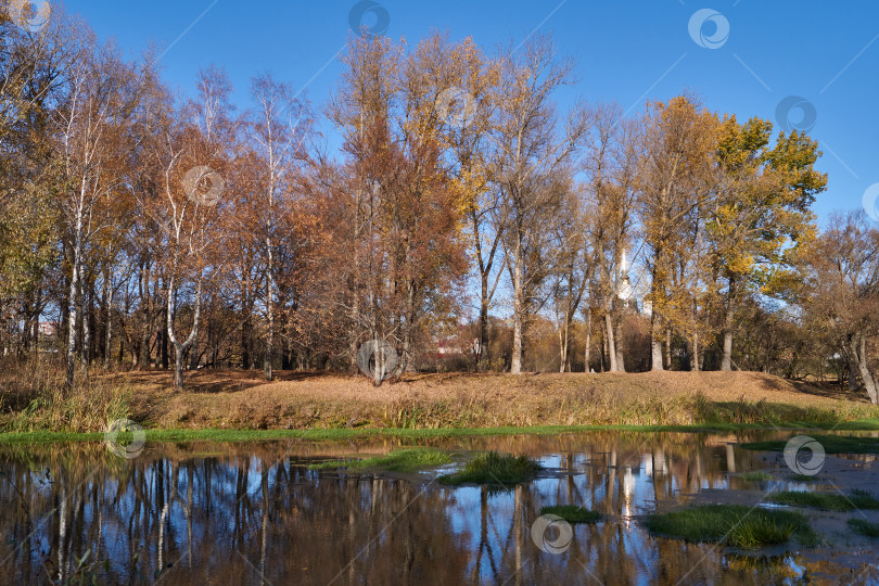 Скачать Прогуляйтесь по берегу реки Снежет. фотосток Ozero