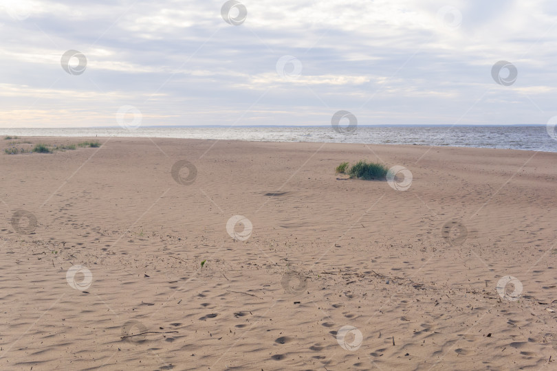 Скачать пейзаж побережья Балтийского моря, пустынный песчаный пляж фотосток Ozero