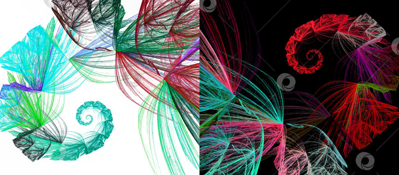 Скачать Разноцветные ажурные спирали расходятся от центра на черном и белом фонах. Два абстрактных фрактальных фона в одном. 3D-рендеринг. 3D-иллюстрация. фотосток Ozero