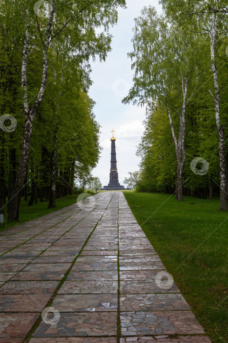 Скачать Ивановка, Россия - мая 13, 2024- Памятник-колонна Дмитрию Донскому фотосток Ozero