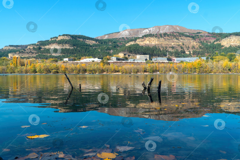 Скачать Желтые кленовые листья на голубой глади озера фотосток Ozero