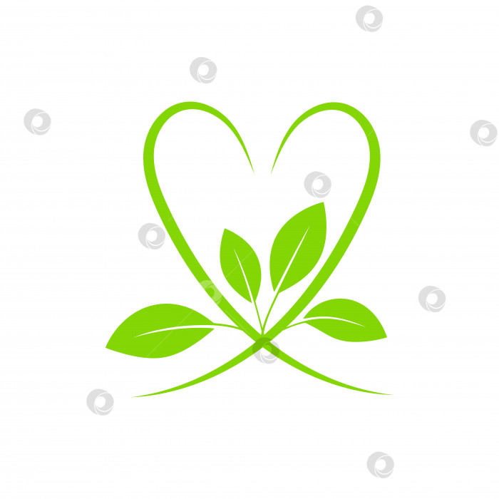 Скачать Зеленое сердечко с листьями фотосток Ozero