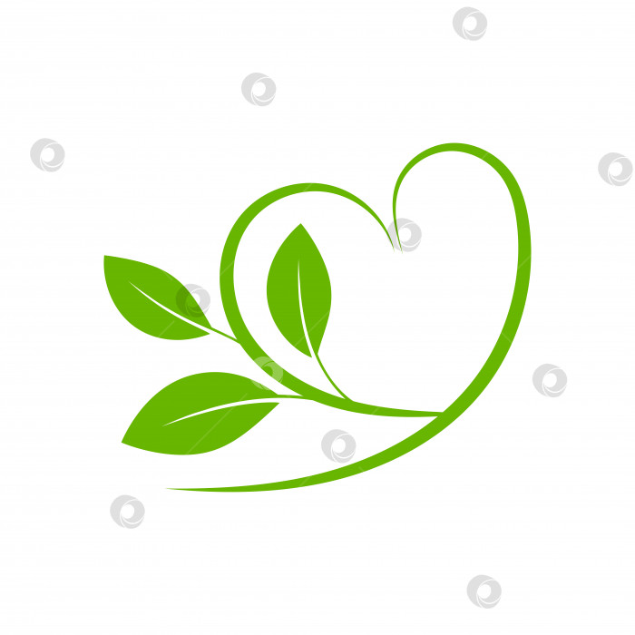 Скачать Зеленое сердечко с листьями фотосток Ozero