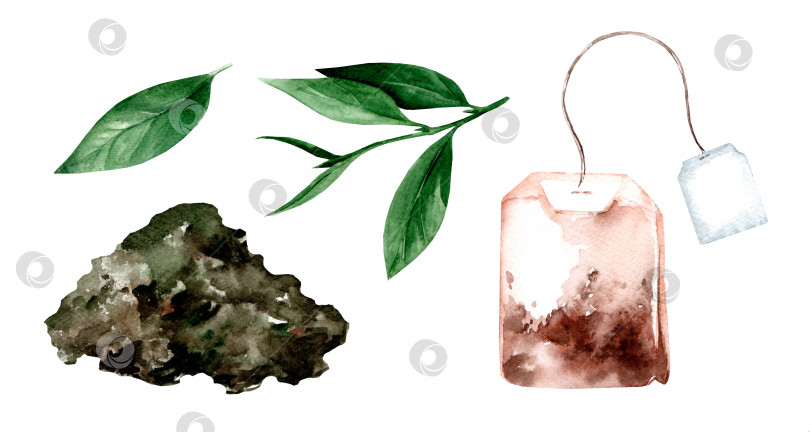 Скачать Акварельный чайный пакетик и листья. Фильтровальная бумага, нитки, квадратная этикетка фотосток Ozero