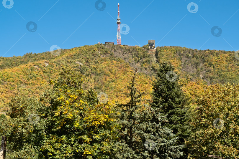 Скачать Гора Машук с телебашней в курортном Пятигорске, Северный Кавказ фотосток Ozero